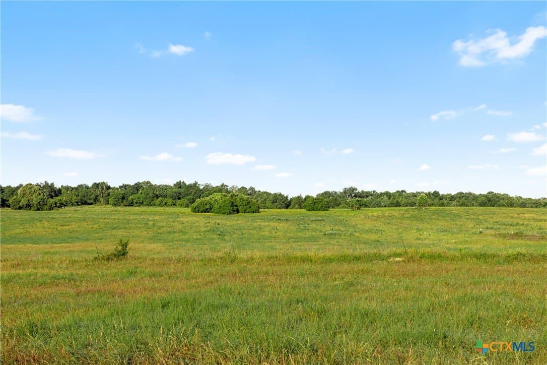 204.4 acres in Robertson County - photo 9