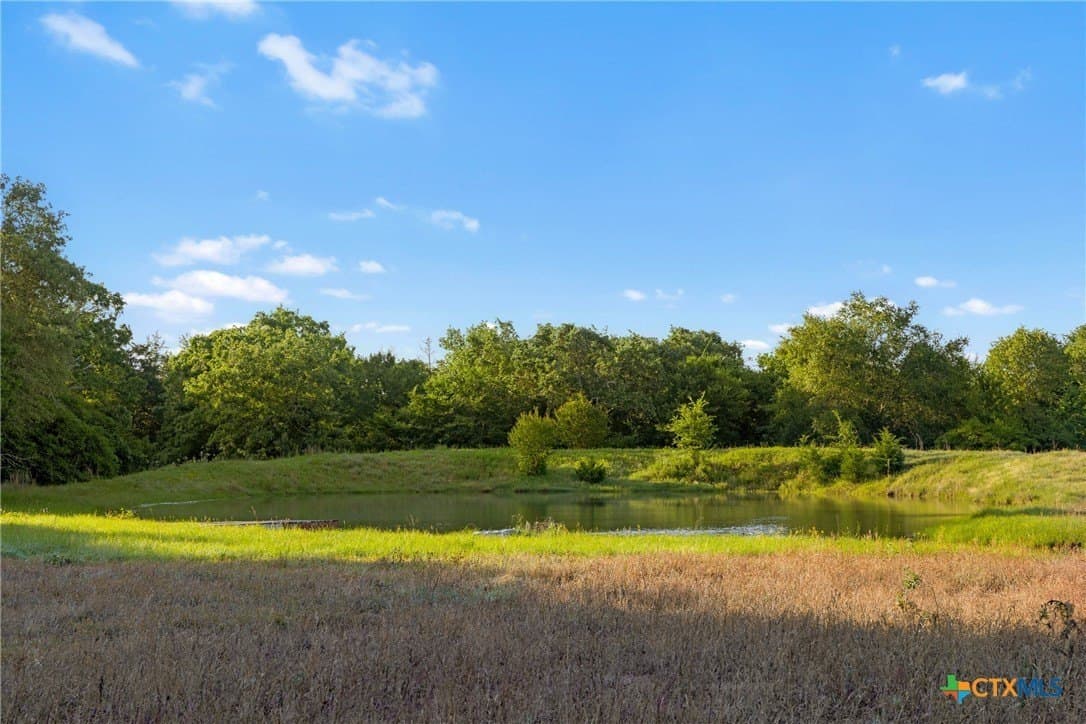 204.4 acres in Robertson County - photo 6