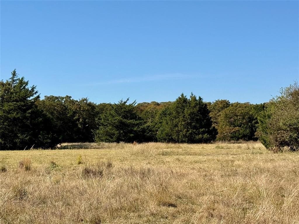 25 acres in Montague County gallery image 4