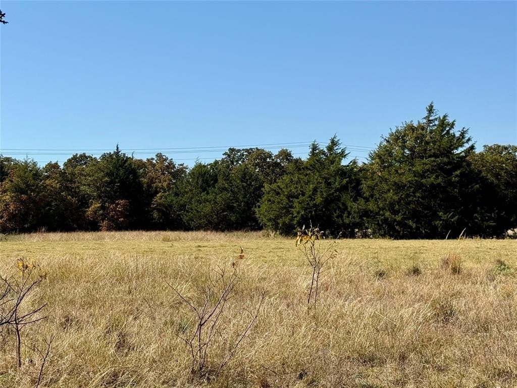 25 acres in Montague County featured view