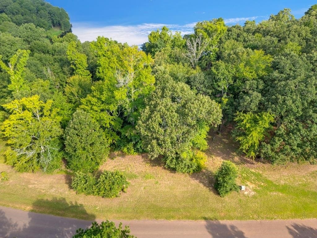 0.8 acres in Upshur County - photo 7