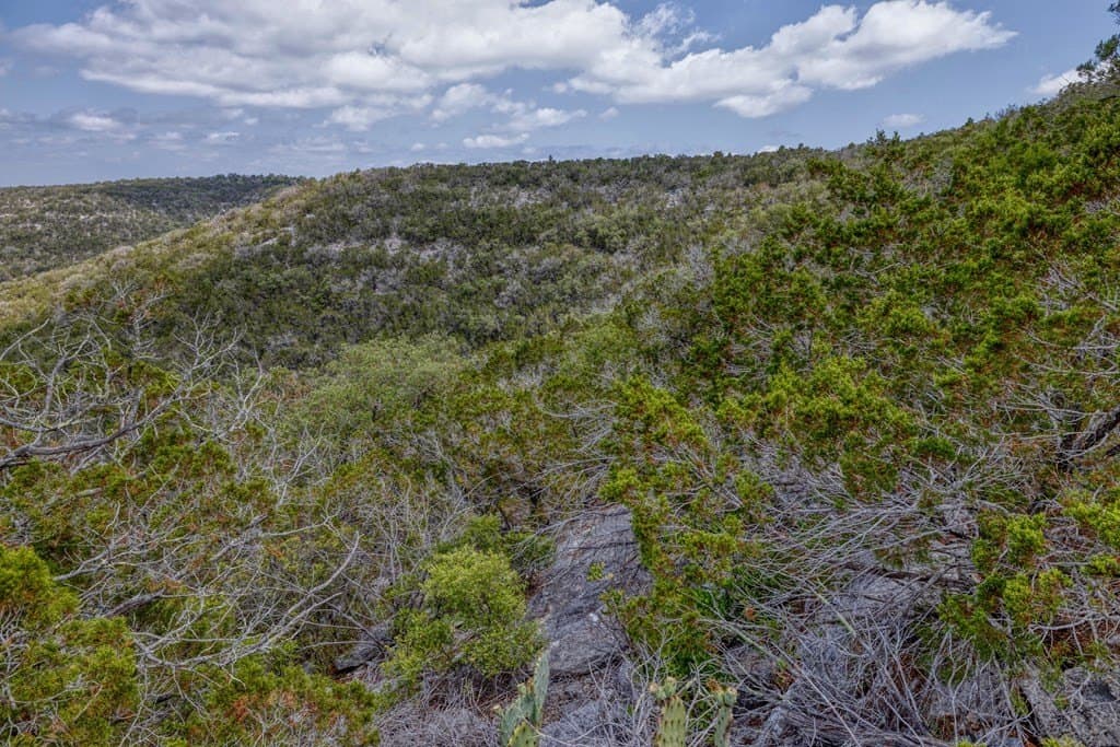 94.97 acres in Real County - photo 41