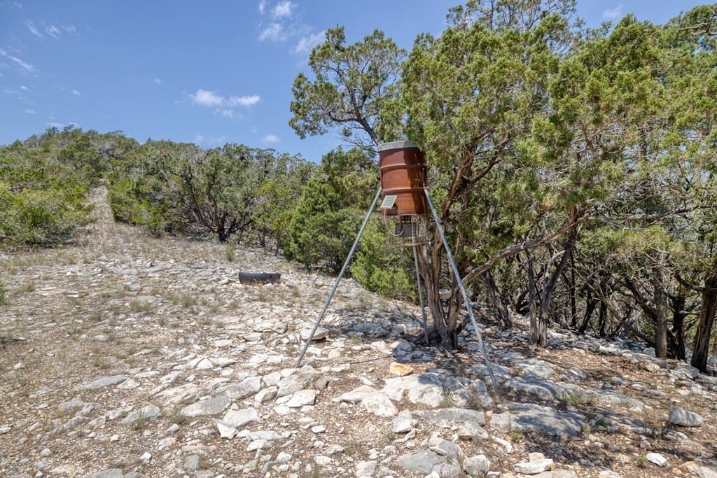 94.97 acres in Real County - photo 24