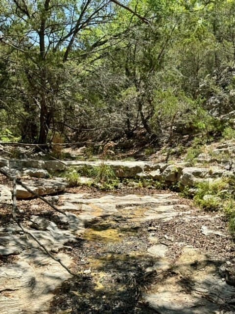 94.97 acres in Real County - photo 39