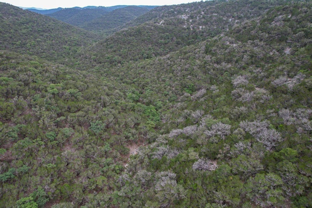 94.97 acres in Real County gallery image 2