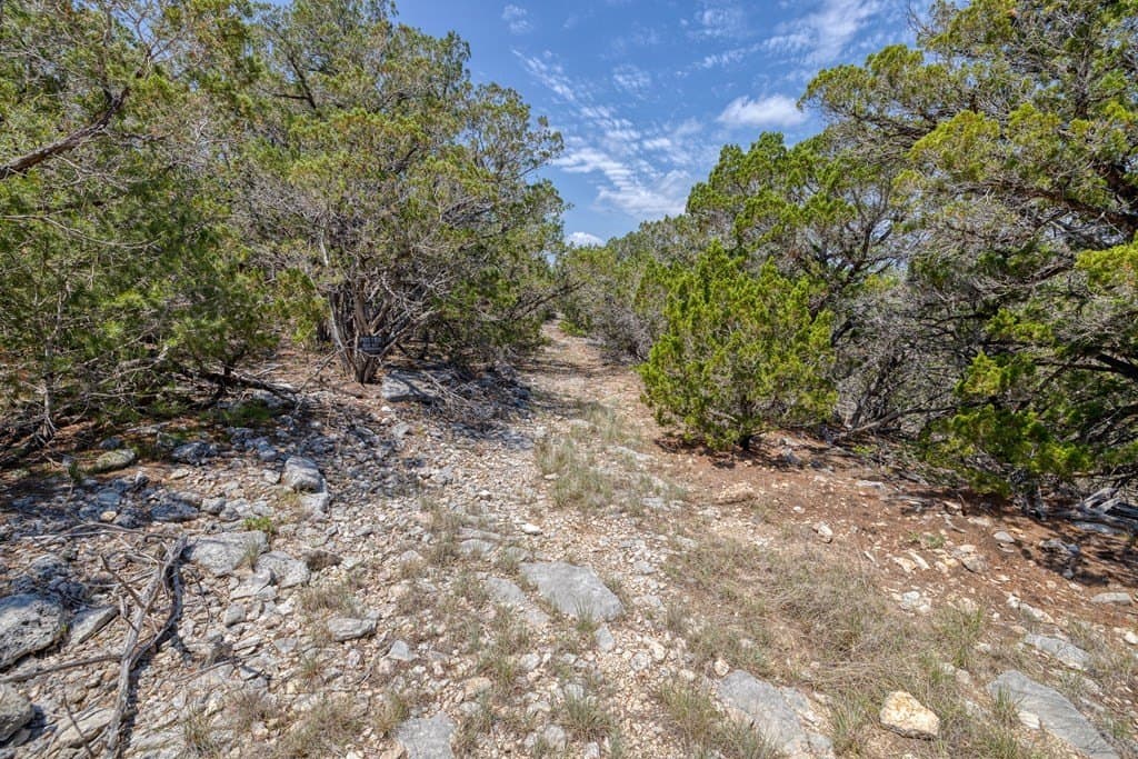 94.97 acres in Real County - photo 22