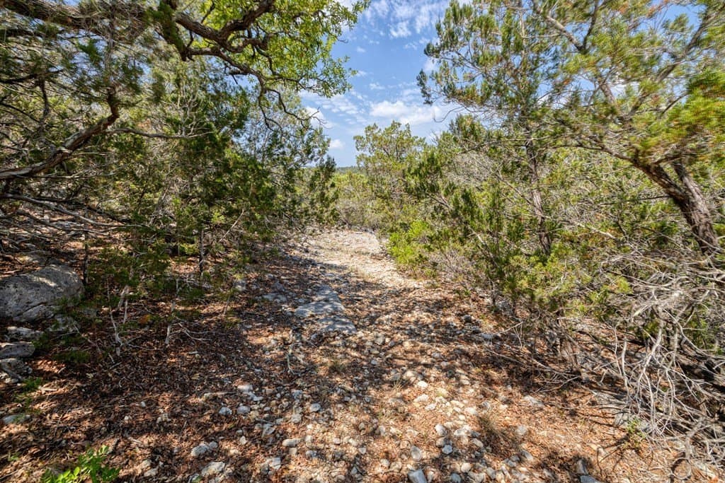 94.97 acres in Real County - photo 23