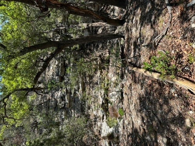94.97 acres in Real County - photo 40