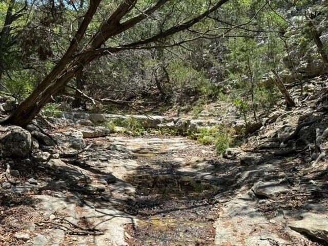 94.97 acres in Real County - photo 38