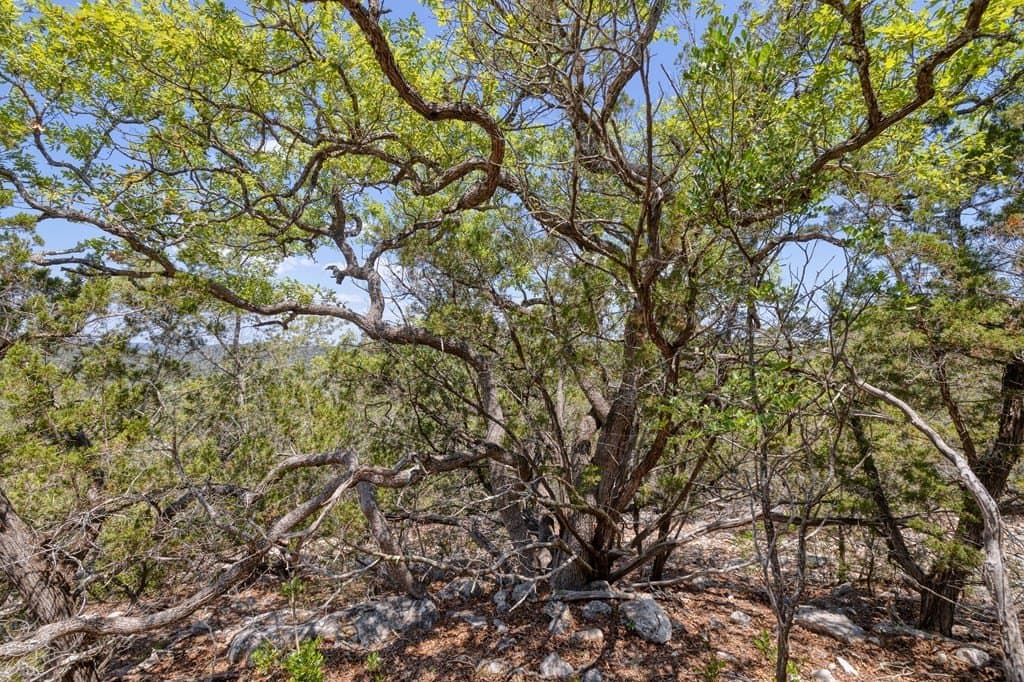 94.97 acres in Real County - photo 42