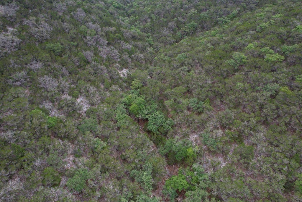 94.97 acres in Real County - photo 7