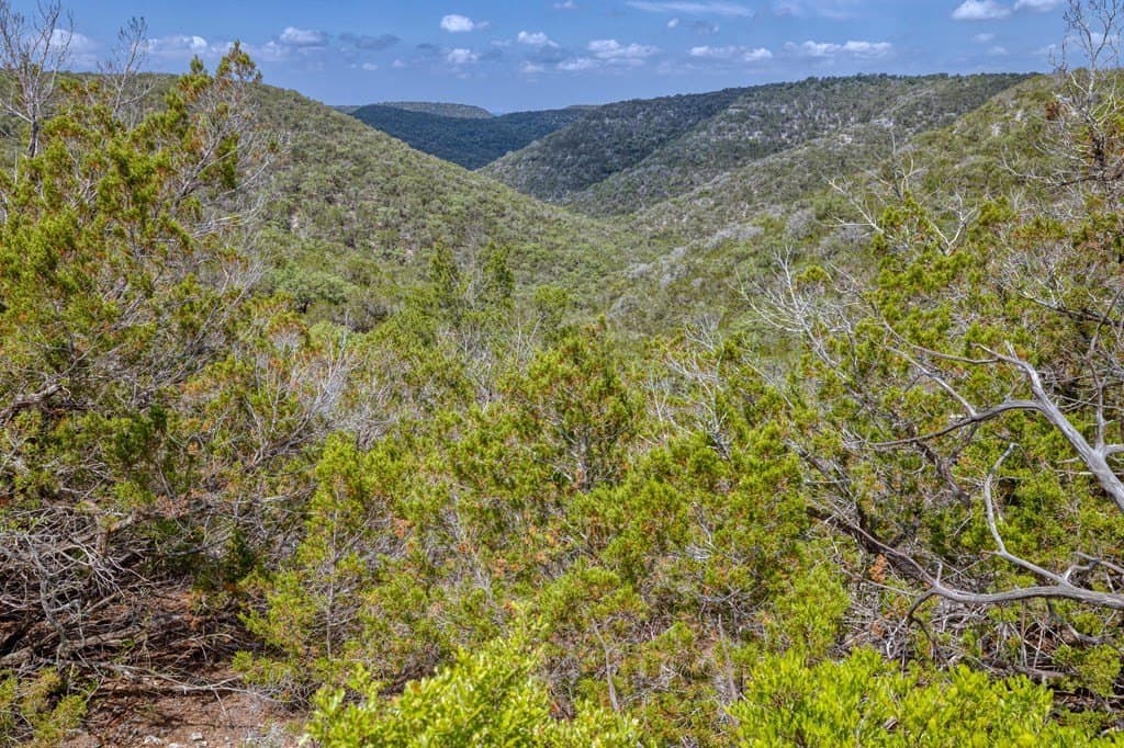 94.97 acres in Real County - photo 27