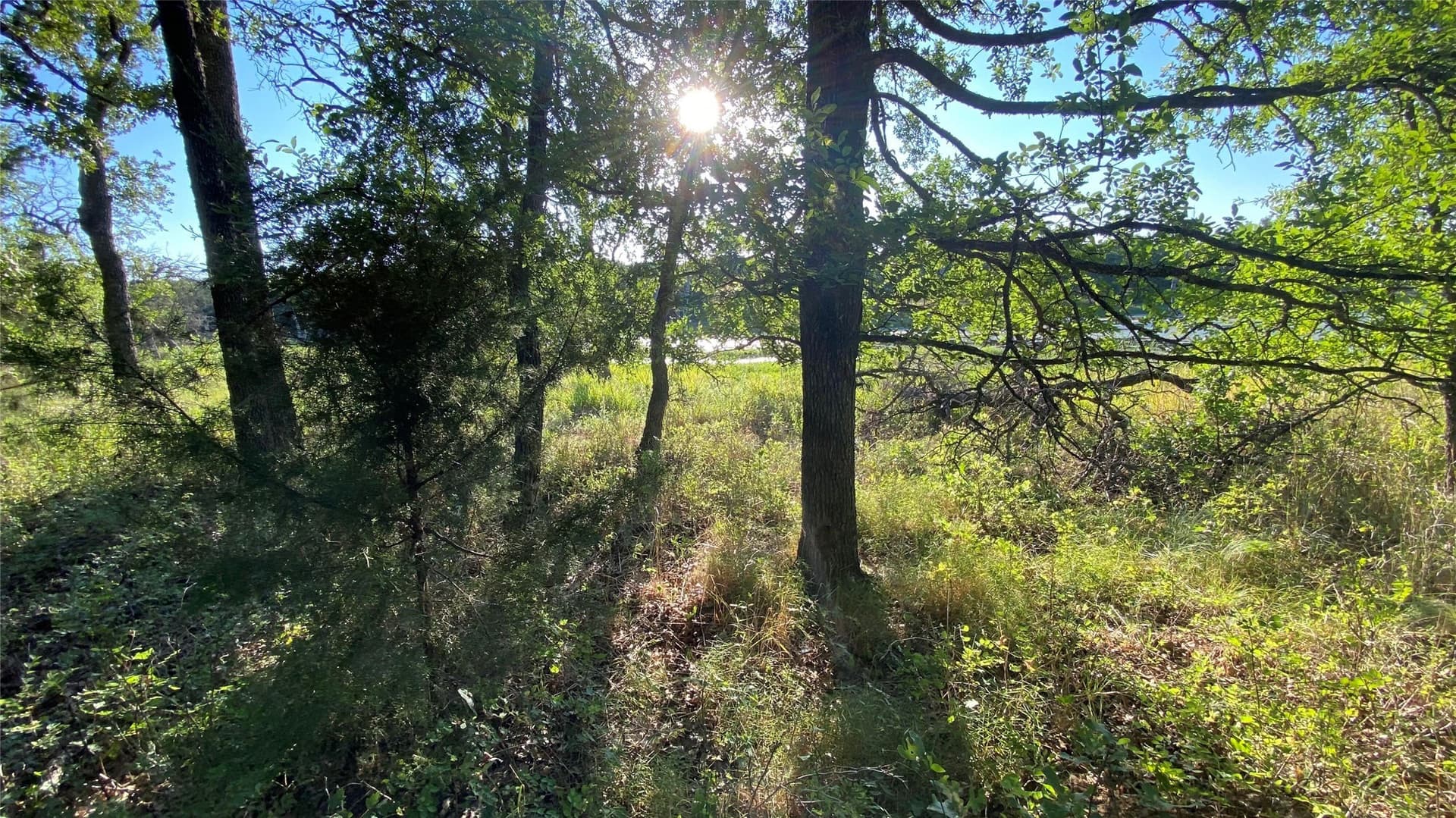 2.25 acres in Wise County - photo 6