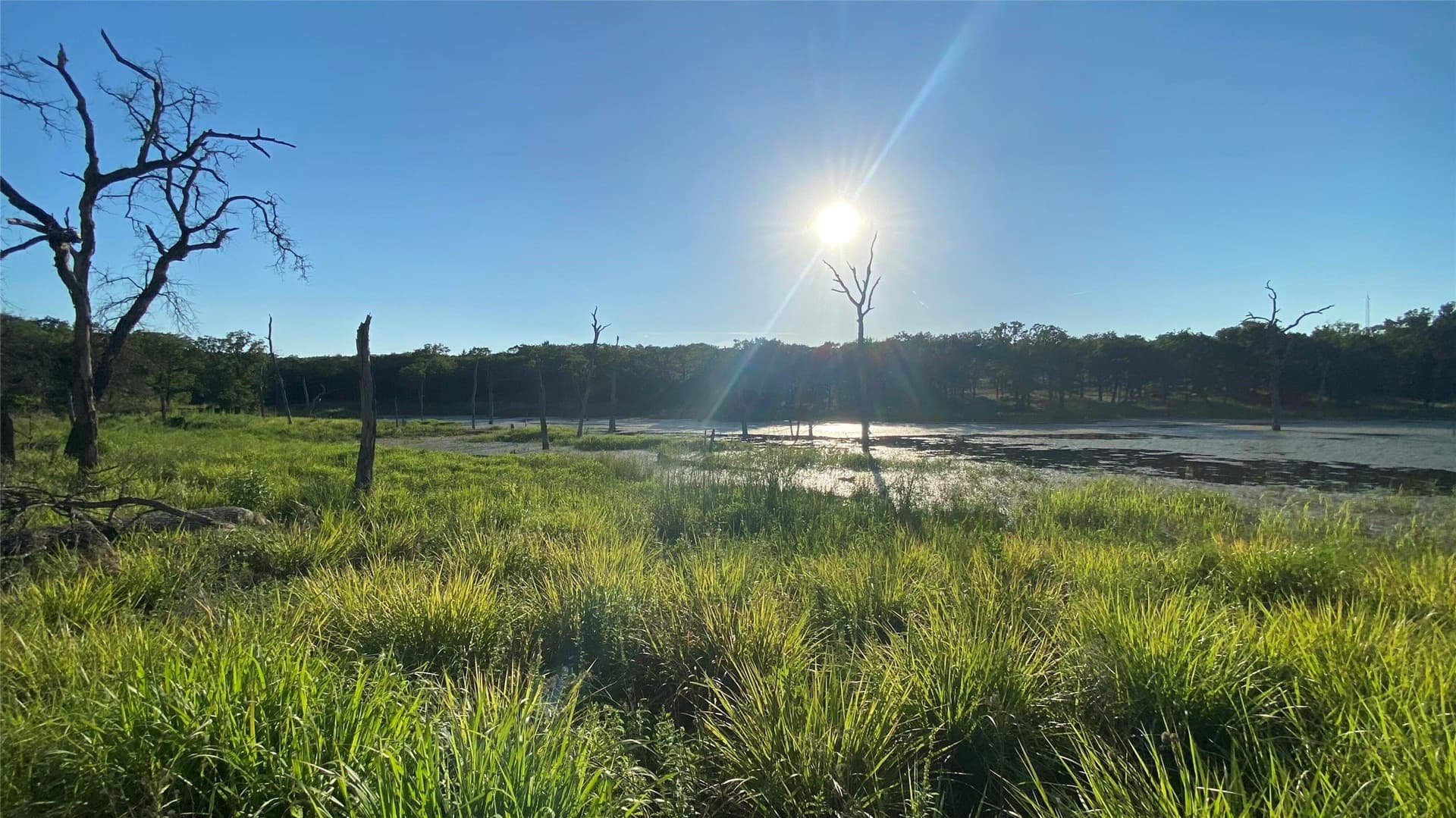 2.25 acres in Wise County - photo 7