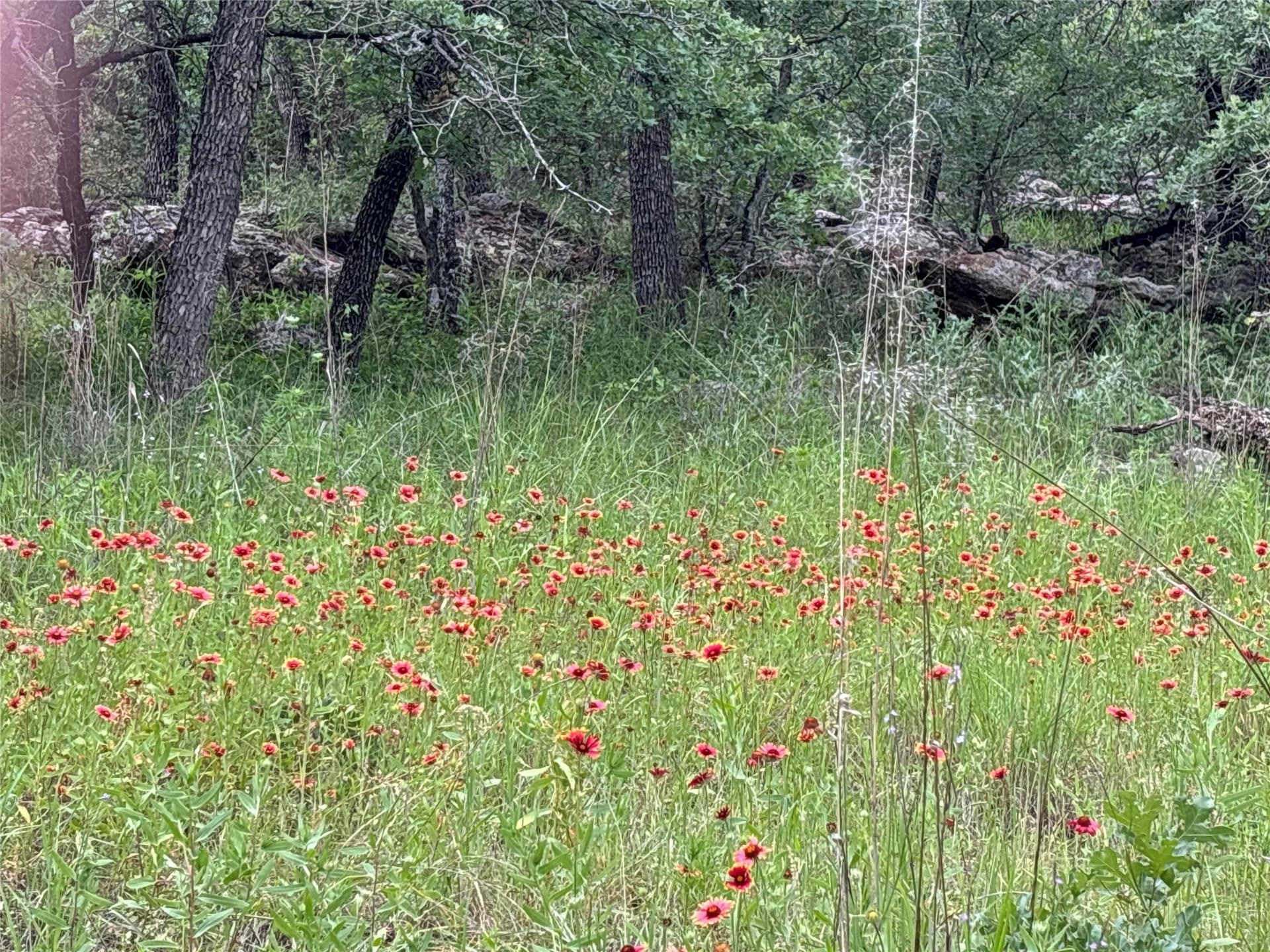 2.25 acres in Wise County - photo 4