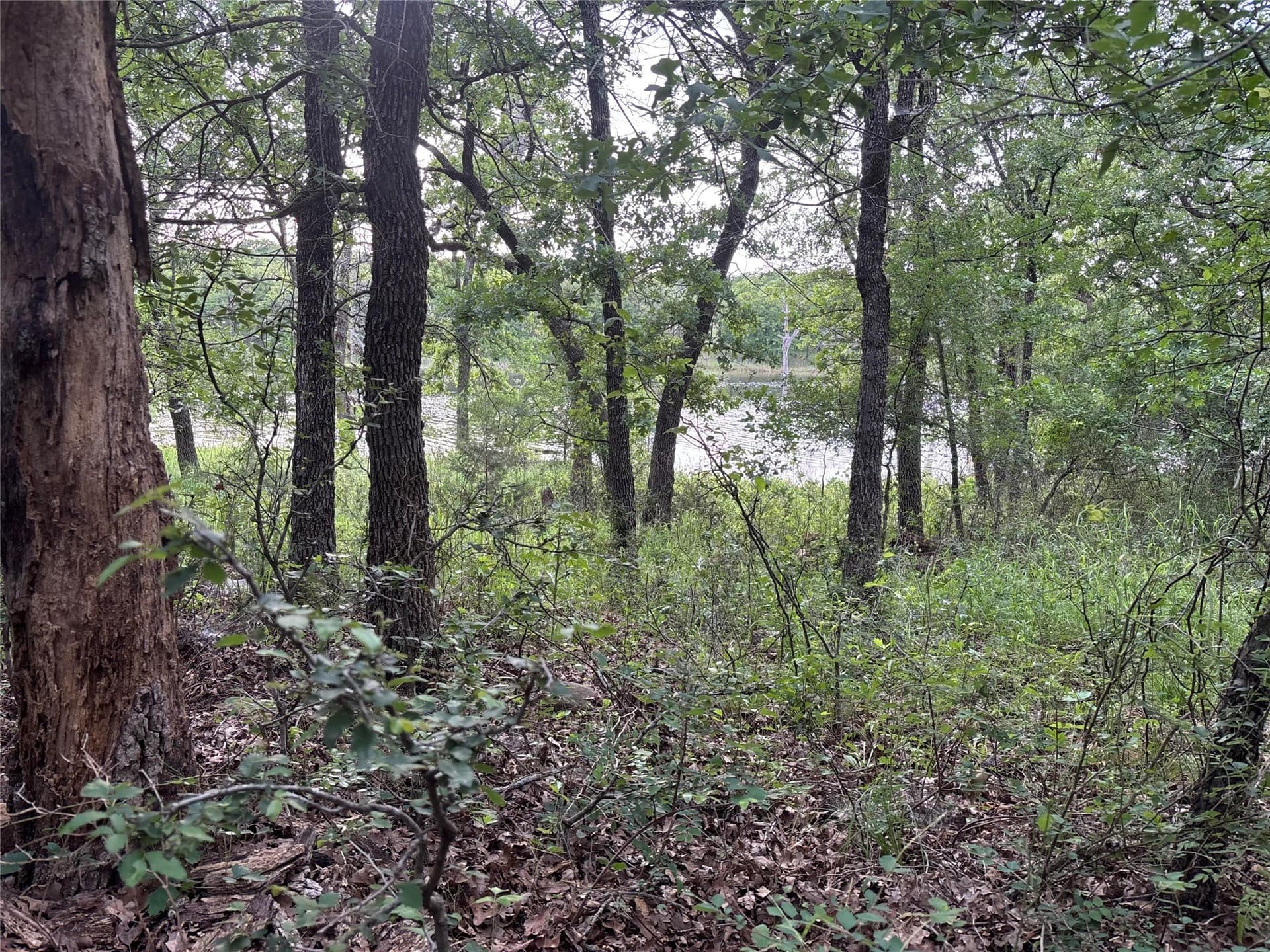 2.25 acres in Wise County - photo 3