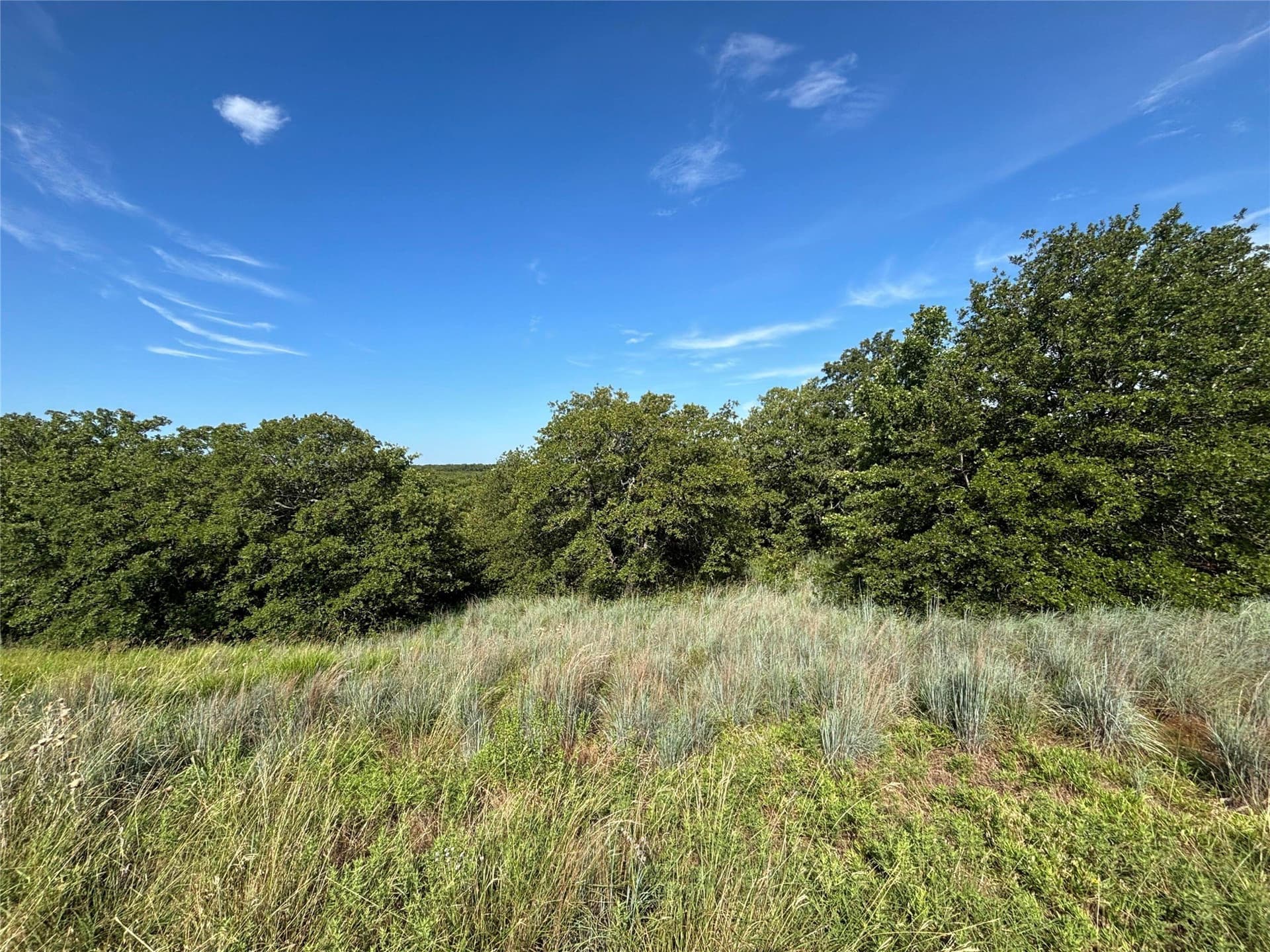 2.25 acres in Wise County - photo 2