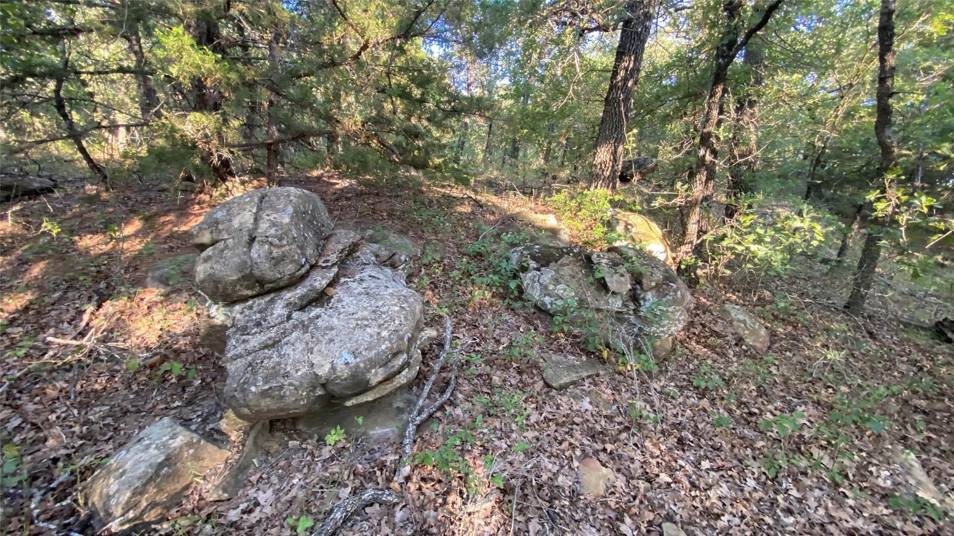 2.25 acres in Wise County - photo 5