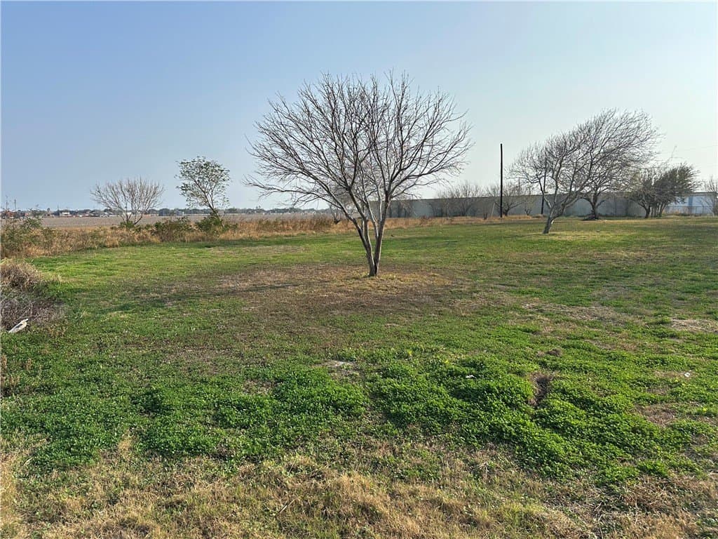 0.65 acres in Nueces County gallery image 3