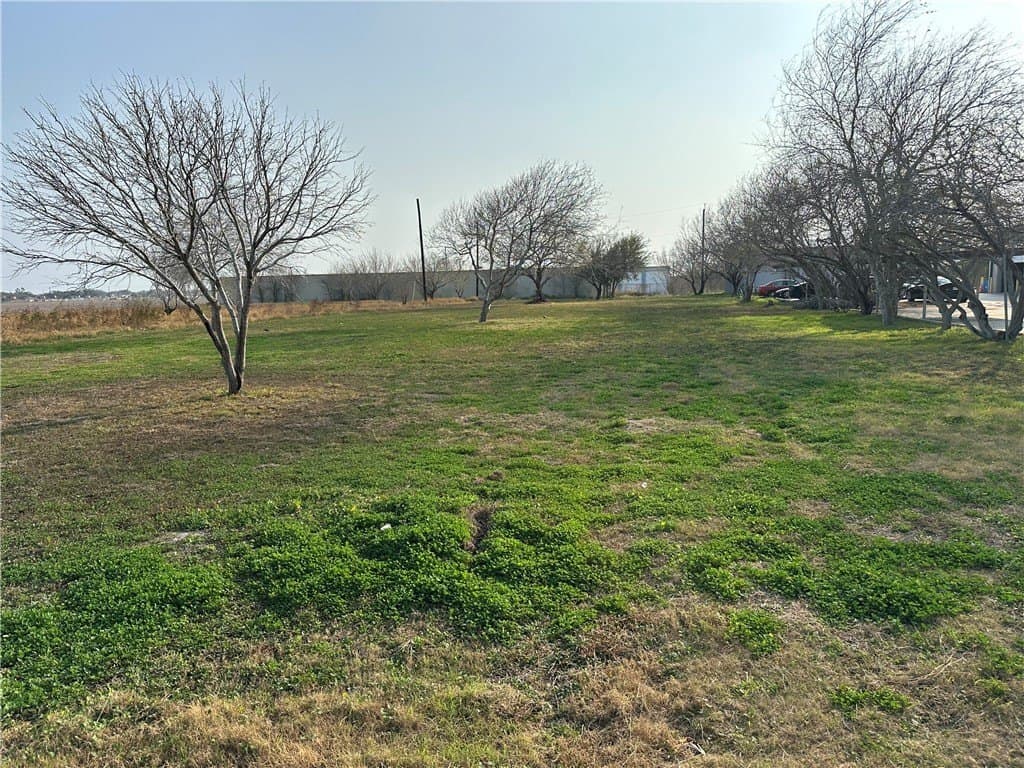 0.65 acres in Nueces County gallery image 2