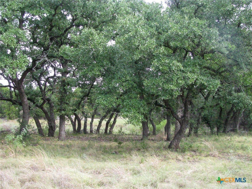 10.01 acres in Hamilton County - photo 15