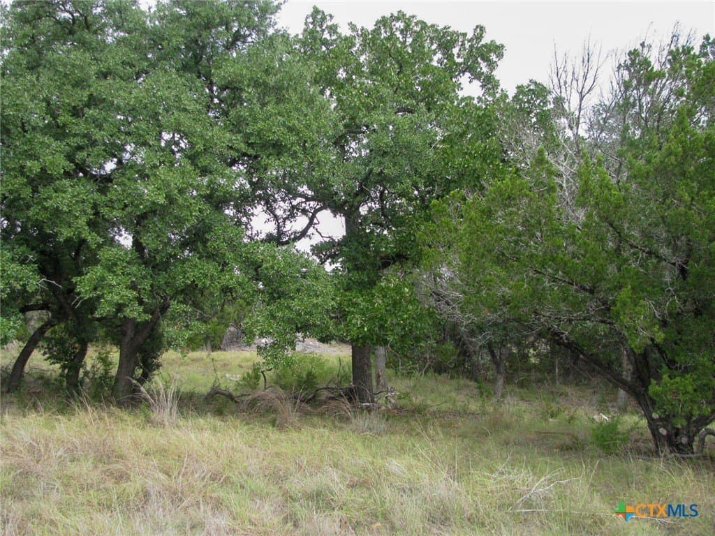 10.01 acres in Hamilton County - photo 29