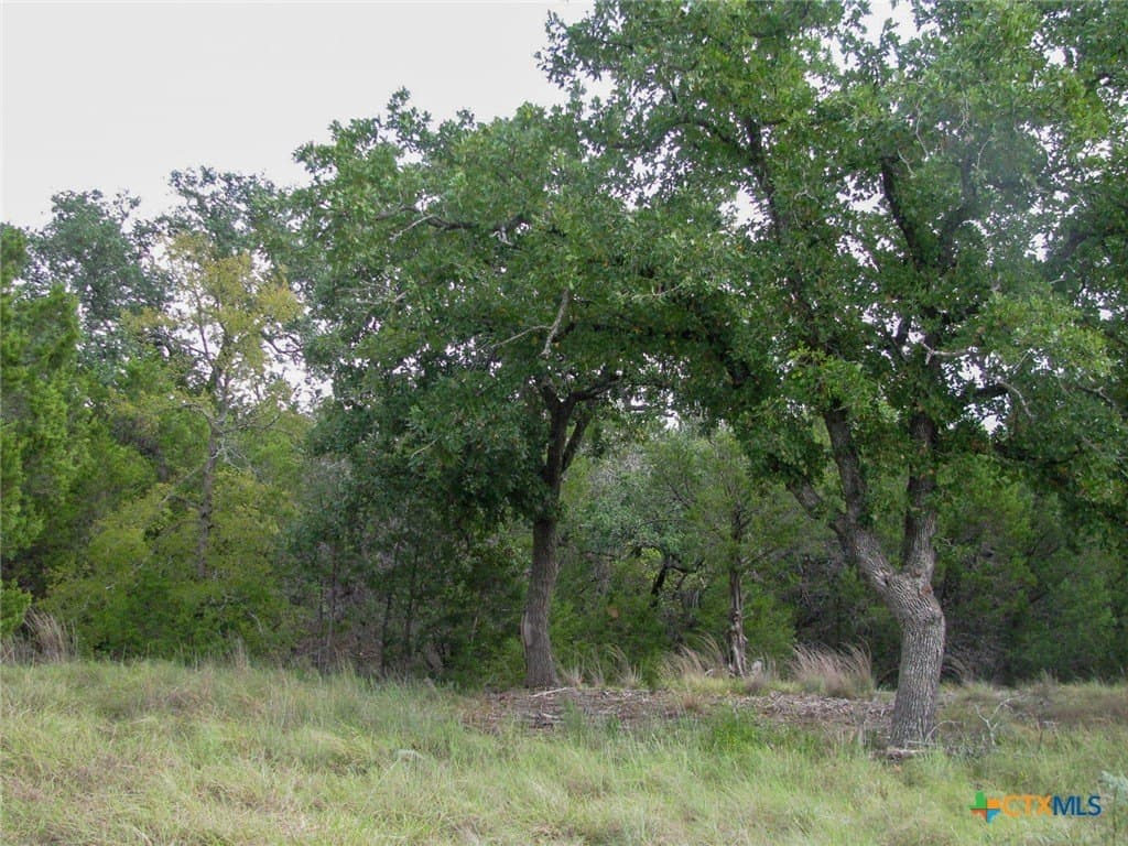10.01 acres in Hamilton County - photo 17