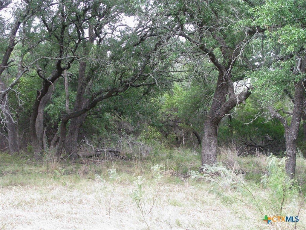 10.01 acres in Hamilton County - photo 31