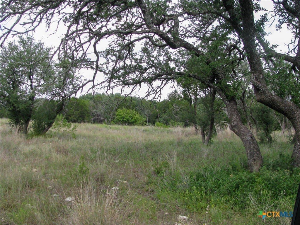 10.01 acres in Hamilton County - photo 2