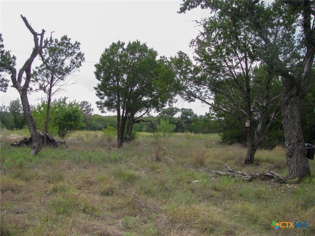 10.01 acres in Hamilton County - photo 16
