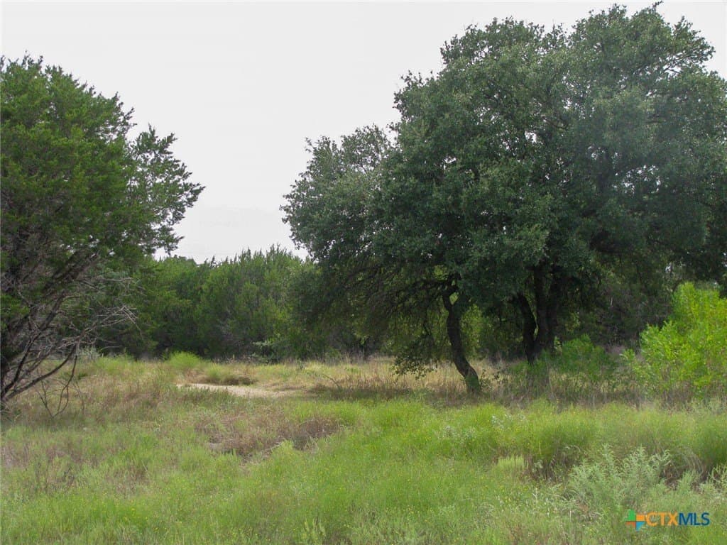 10.01 acres in Hamilton County - photo 9