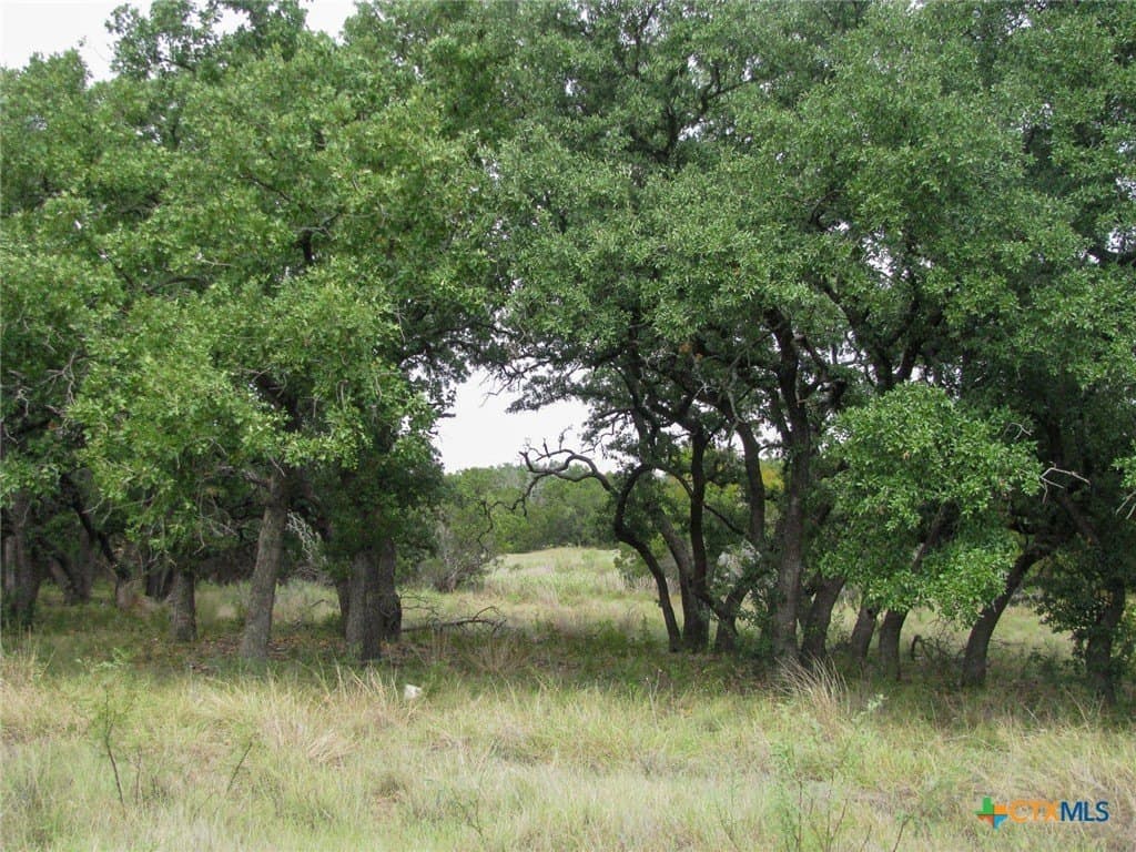 10.01 acres in Hamilton County - photo 30