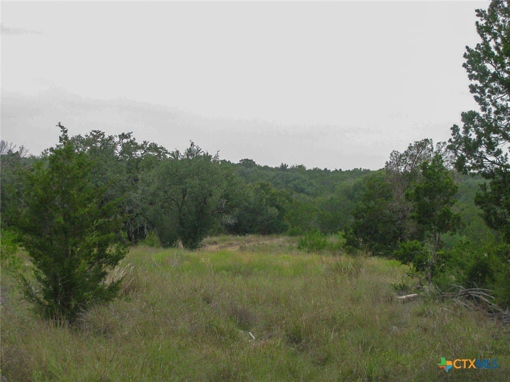 10.01 acres in Hamilton County - photo 14