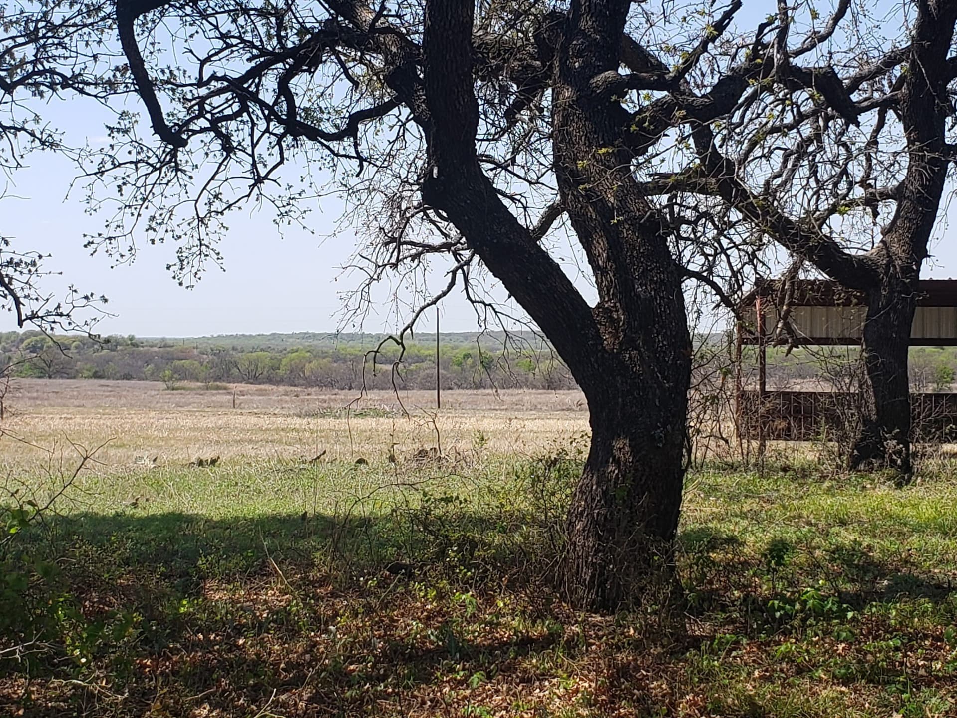 14 acres in Wise County gallery image 3