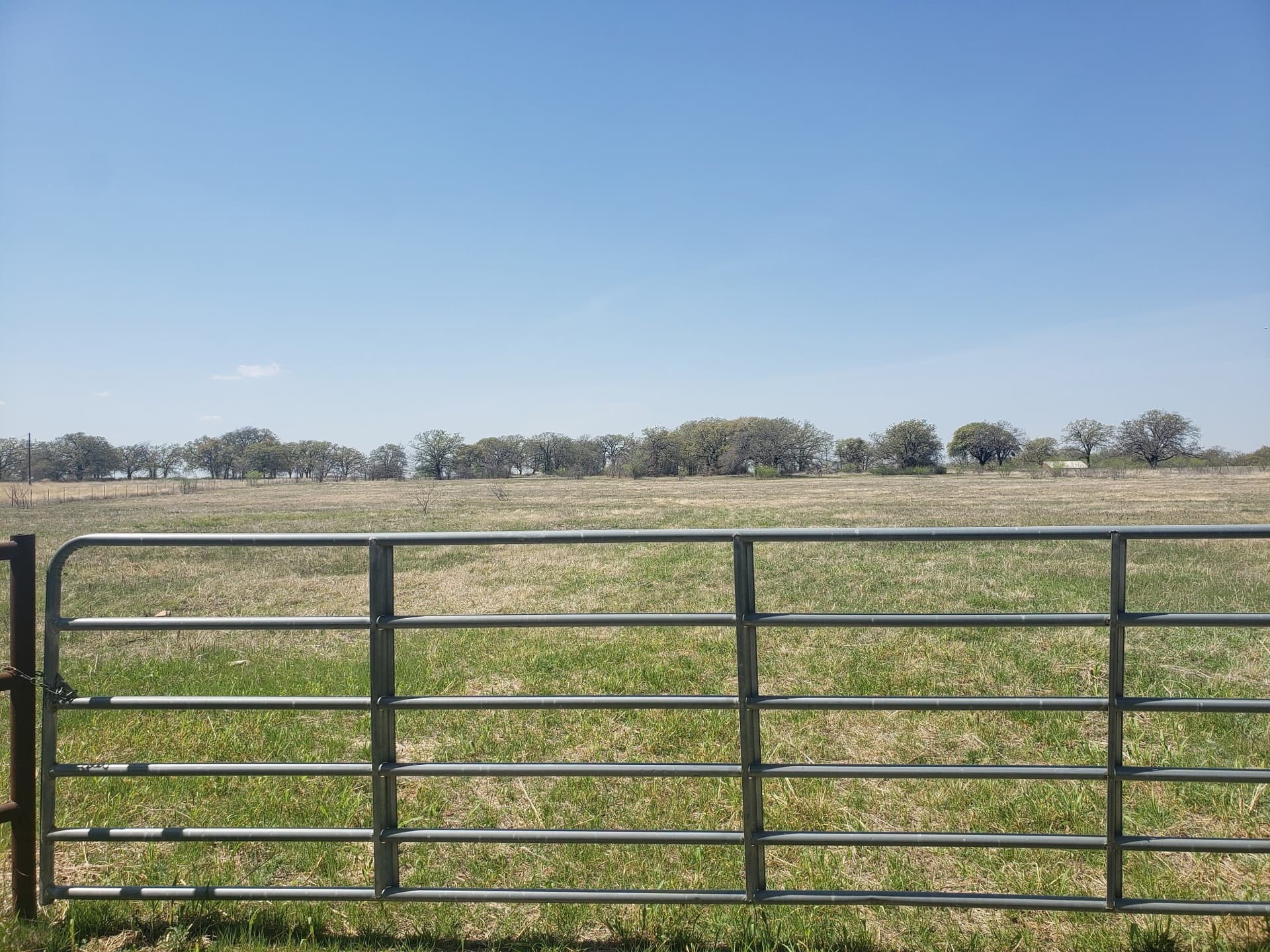 14 acres in Wise County gallery image 2