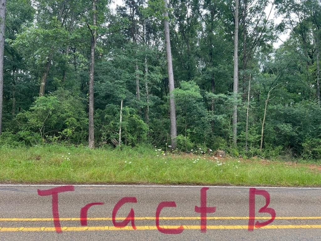 1.74 acres in Texas County