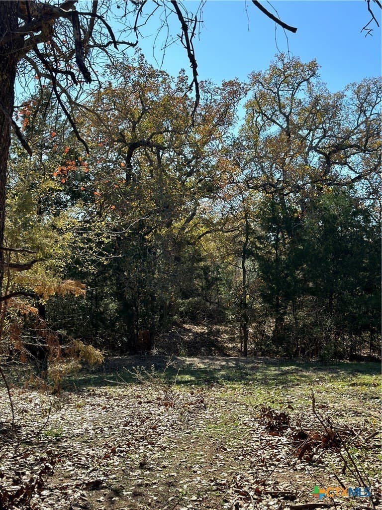 21.07 acres in Caldwell County - photo 22