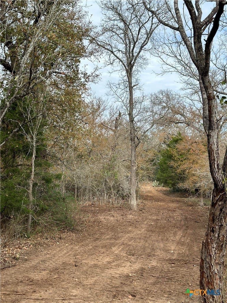 21.07 acres in Caldwell County - photo 14