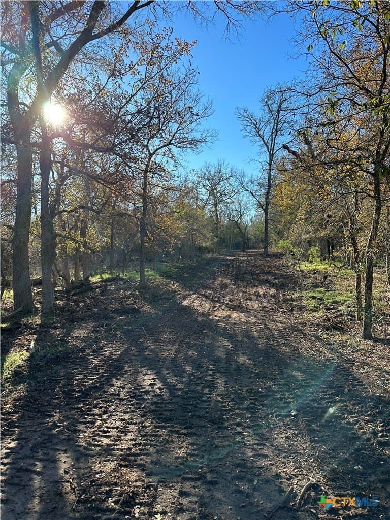 21.07 acres in Caldwell County - photo 13