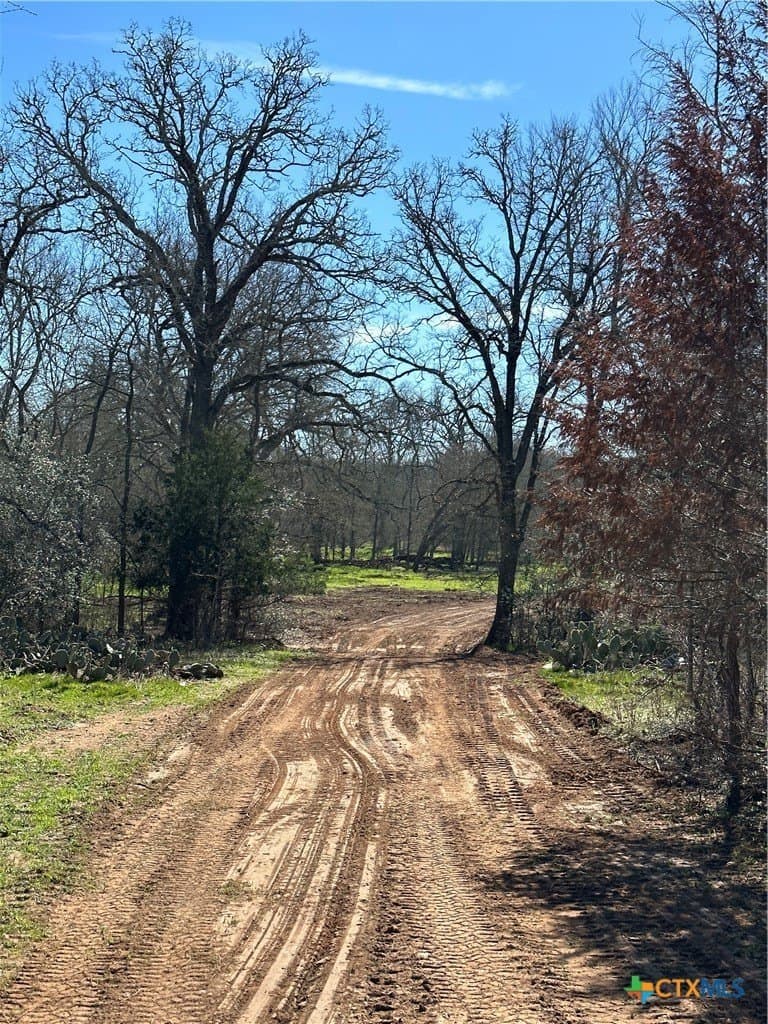 21.07 acres in Caldwell County - photo 17