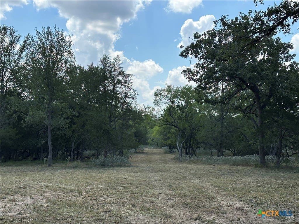 21.07 acres in Caldwell County - photo 7