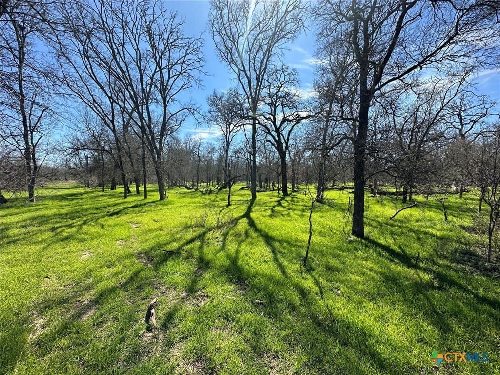 21.07 acres in Caldwell County - photo 8