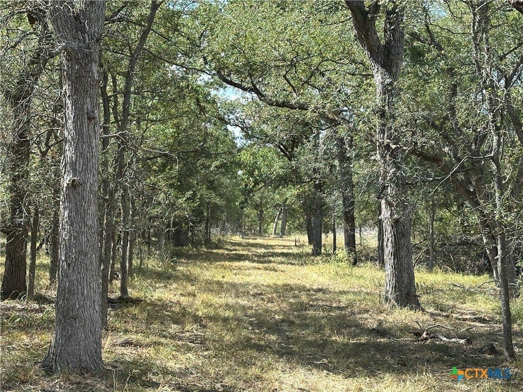 21.07 acres in Caldwell County gallery image 2