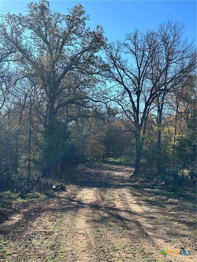 21.07 acres in Caldwell County - photo 23