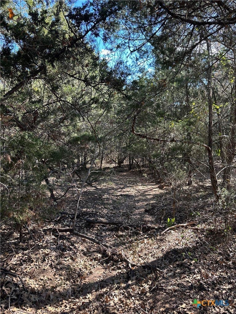 21.07 acres in Caldwell County - photo 12