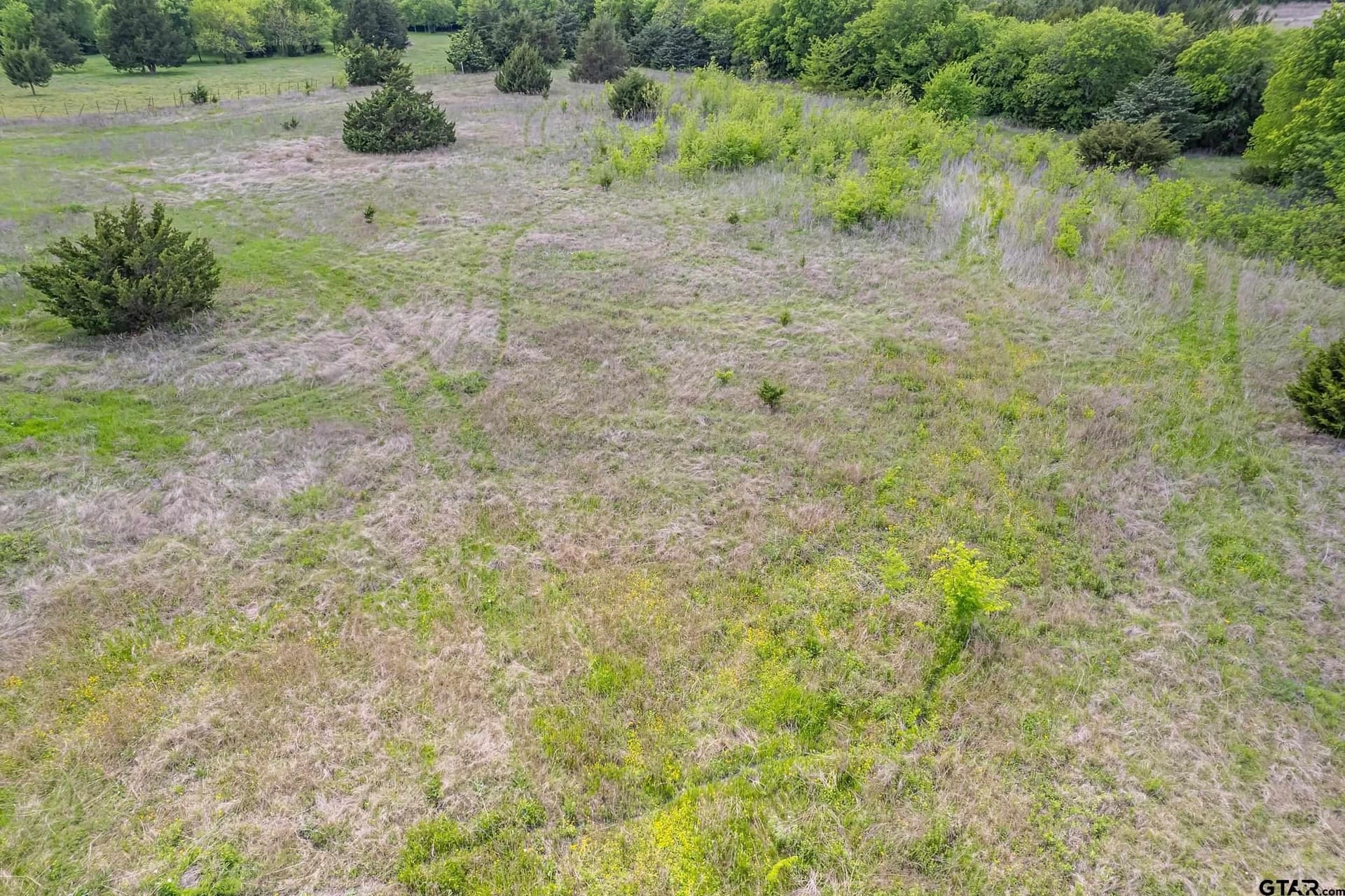 13.62 acres in Collin County - photo 9