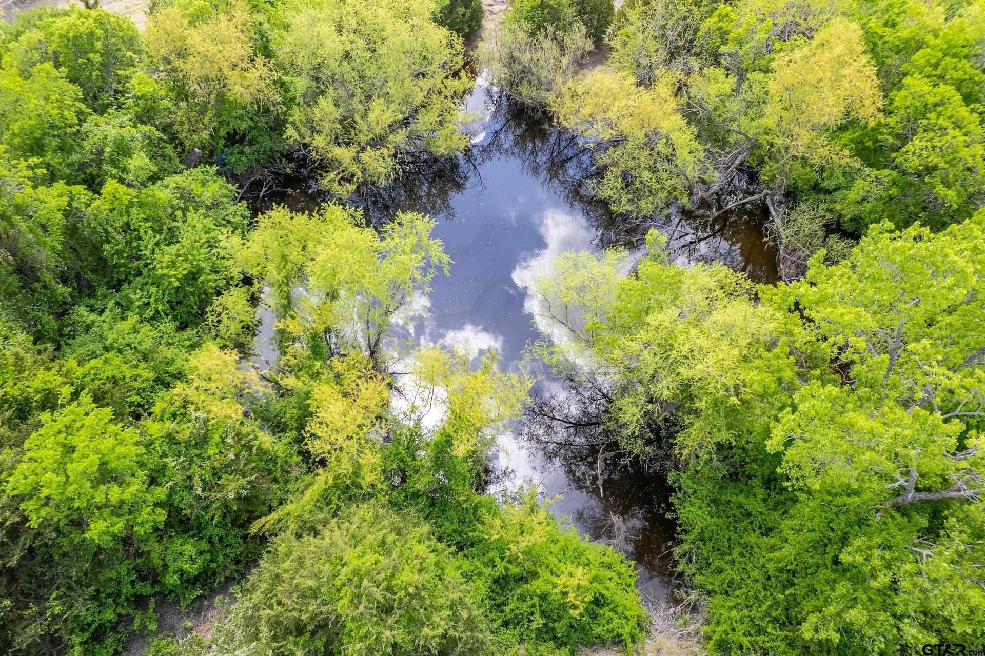 13.62 acres in Collin County - photo 7