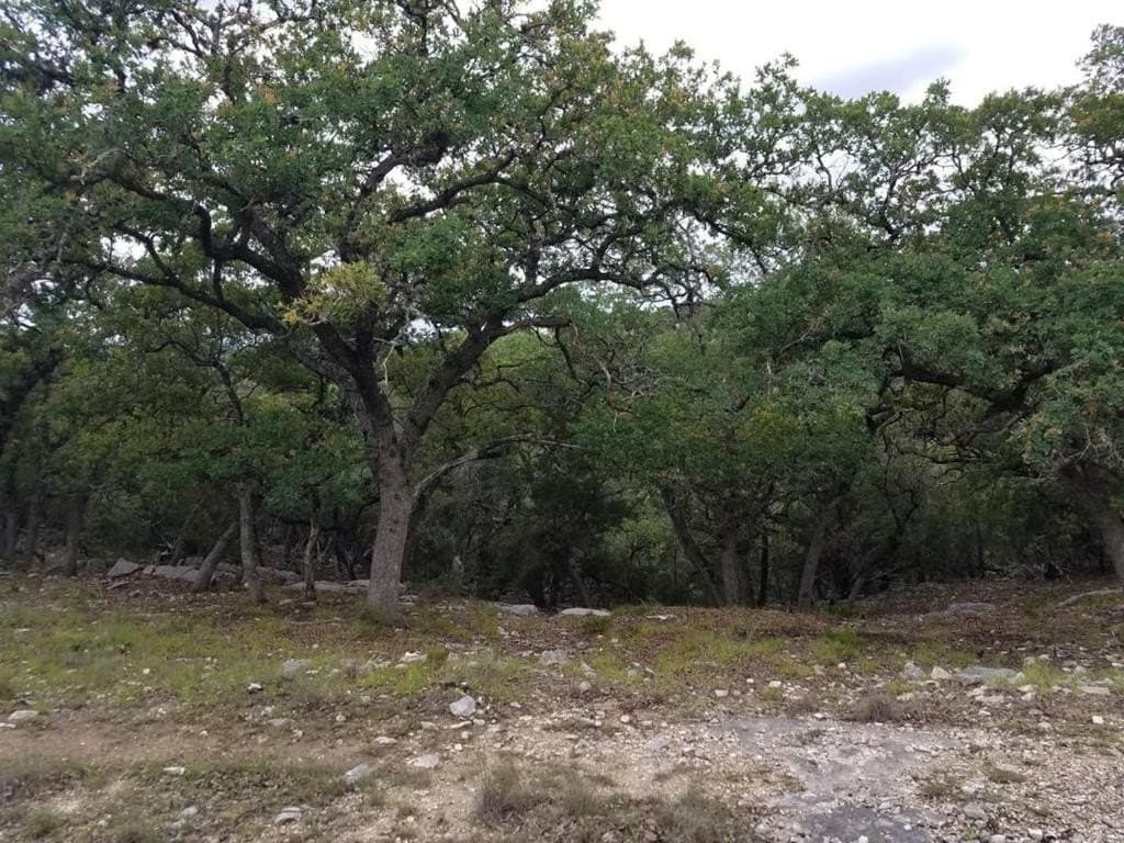 14.02 acres in Kerr County featured view