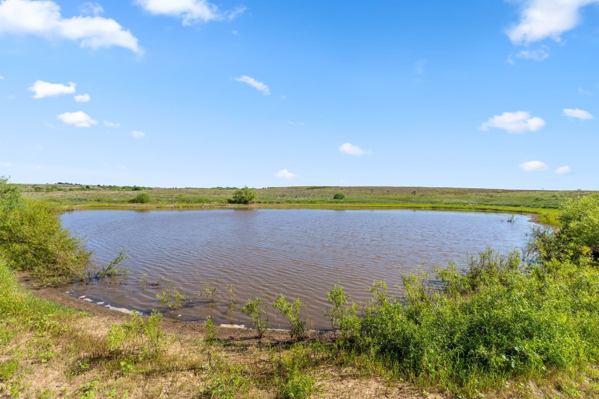 623.3 acres in Montague County