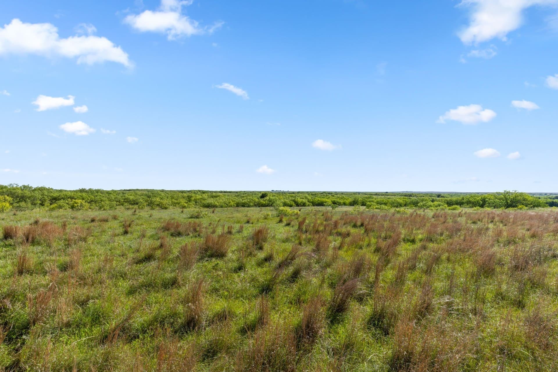 623.3 acres in Montague County - photo 5